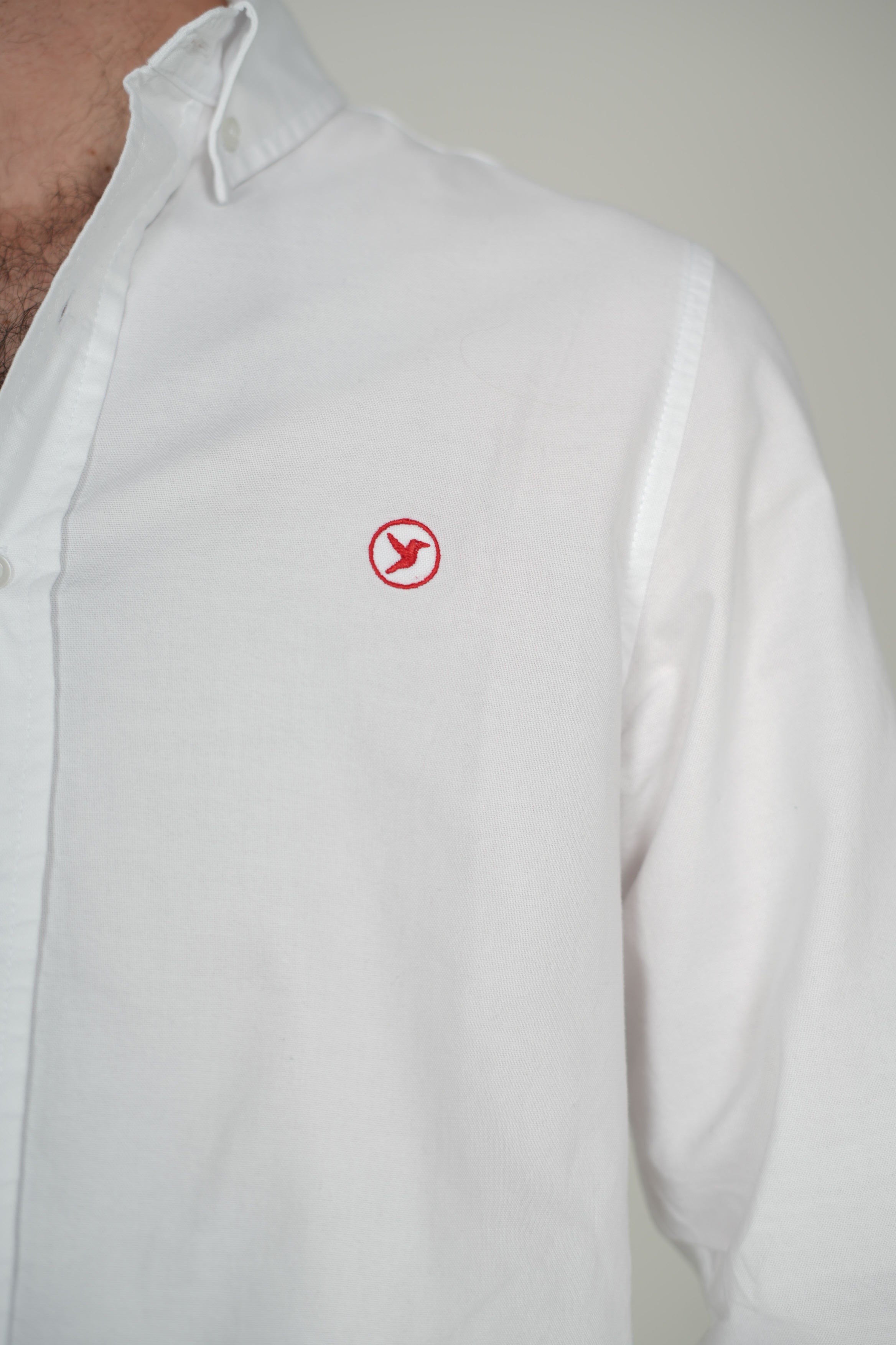 Camisa Oxford Colí